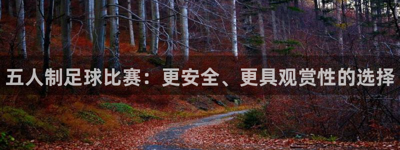 vsport体育官网：五人制足球比赛：更安全、更具观赏性的选