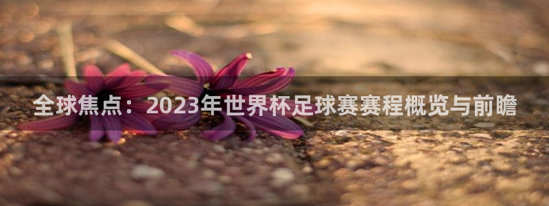  哈哈体育体育平台-胜利因您更精彩：全球焦点：2023年世界杯