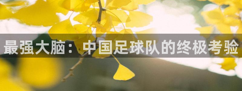  vsport体育在线官网阿根廷：最强大脑：中国足球队的终极考