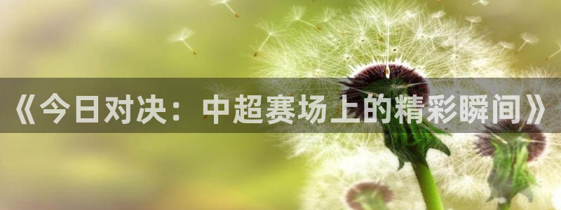 vsport体育阿根廷：《今日对决：中超赛场上的精彩瞬间》