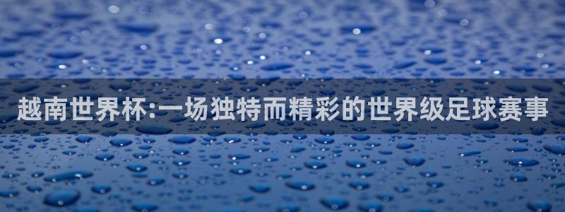 vsport体育在线官网阿根廷：越南世界杯:一场独特而精彩的