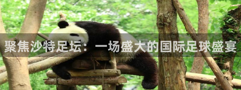  vsport体育平台app：聚焦沙特足坛：一场盛大的国际足球