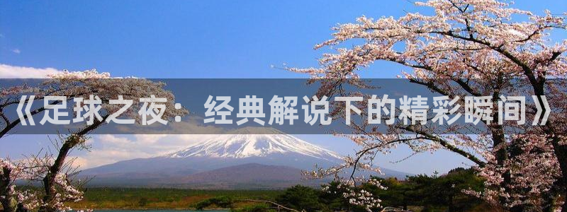 vSport体育app最新版本更新内容：《足球之夜：经典解说