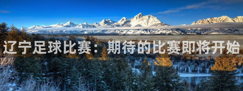 vsport体育在线官网：辽宁足球比赛：期待的比赛即将开始