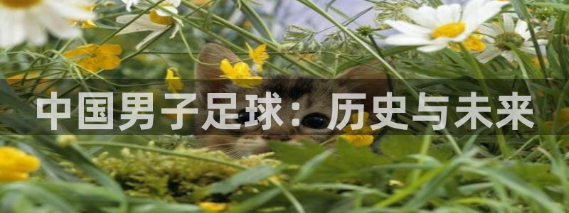  哈哈体育体育官网入口：中国男子足球：历史与未来