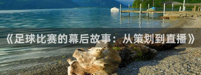 哈哈体育体育平台-胜利因您更精彩：《足球比赛的幕后故事：从策