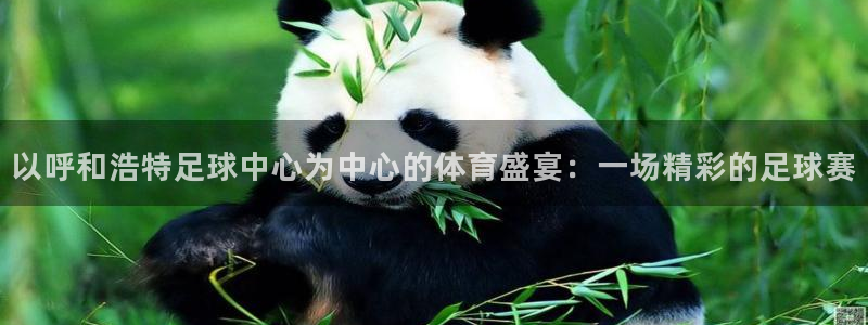  vSport体育在线登录平台：以呼和浩特足球中心为中心的体育