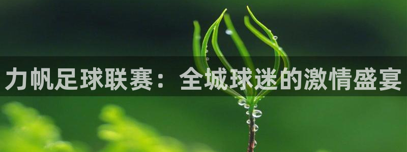 哈哈体育体育官网入口：力帆足球联赛：全城球迷的激情盛宴